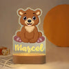 Custom Name Animal Night Light | Personalized Acrylic Lamp for Baby Kids Bedroom Decor | Neonate Birthday Gift